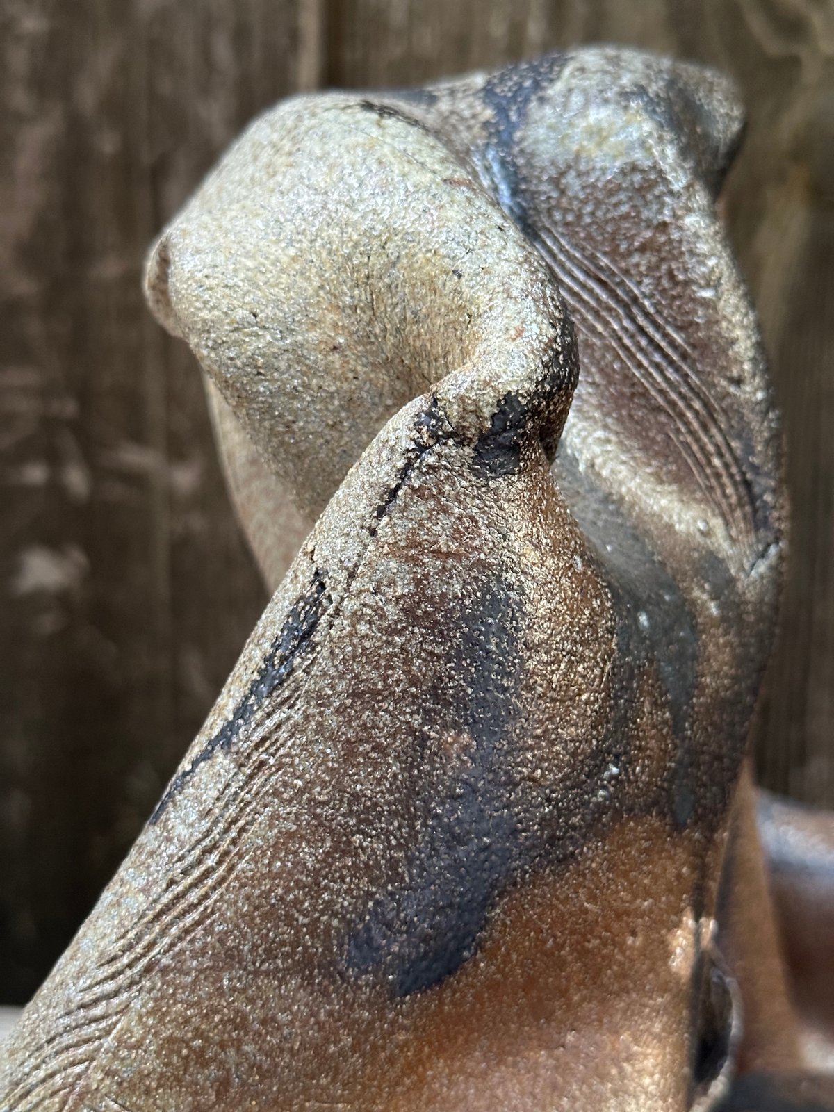 Image of Washoe, 2024