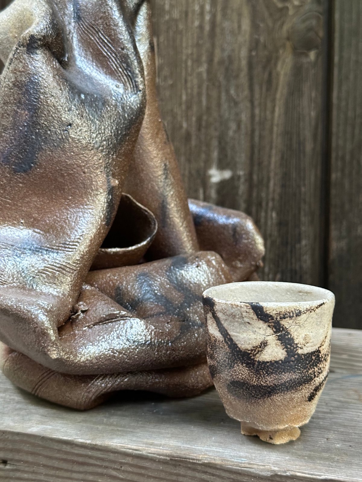 Image of Washoe, 2024