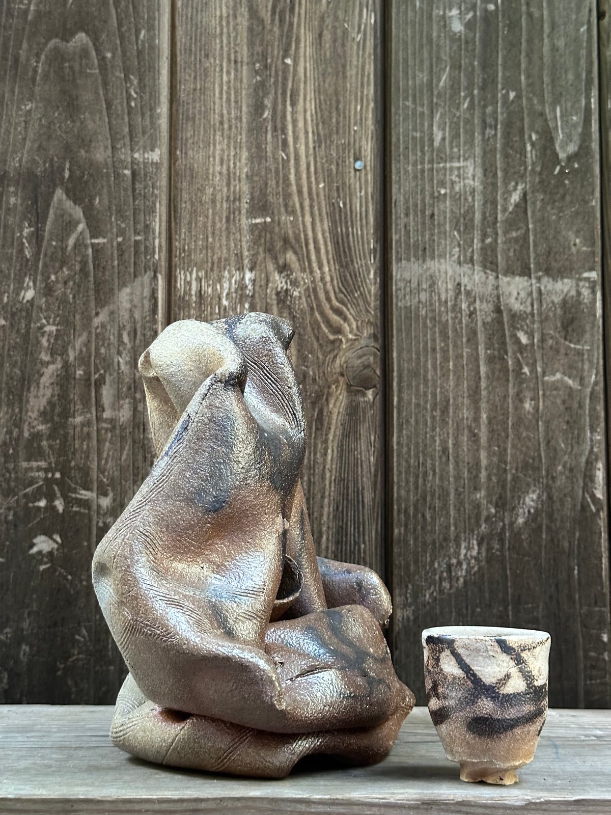 Image of Washoe, 2024