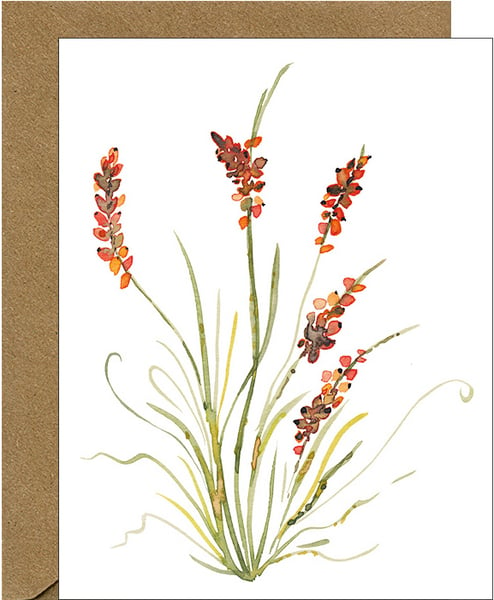 Image of NEW - Golden Sedge Watercolor Floral Note Card