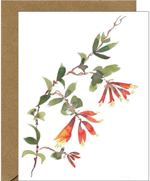 Image of NEW - Trumpet Honeysuckle Watercolor Floral Note Card