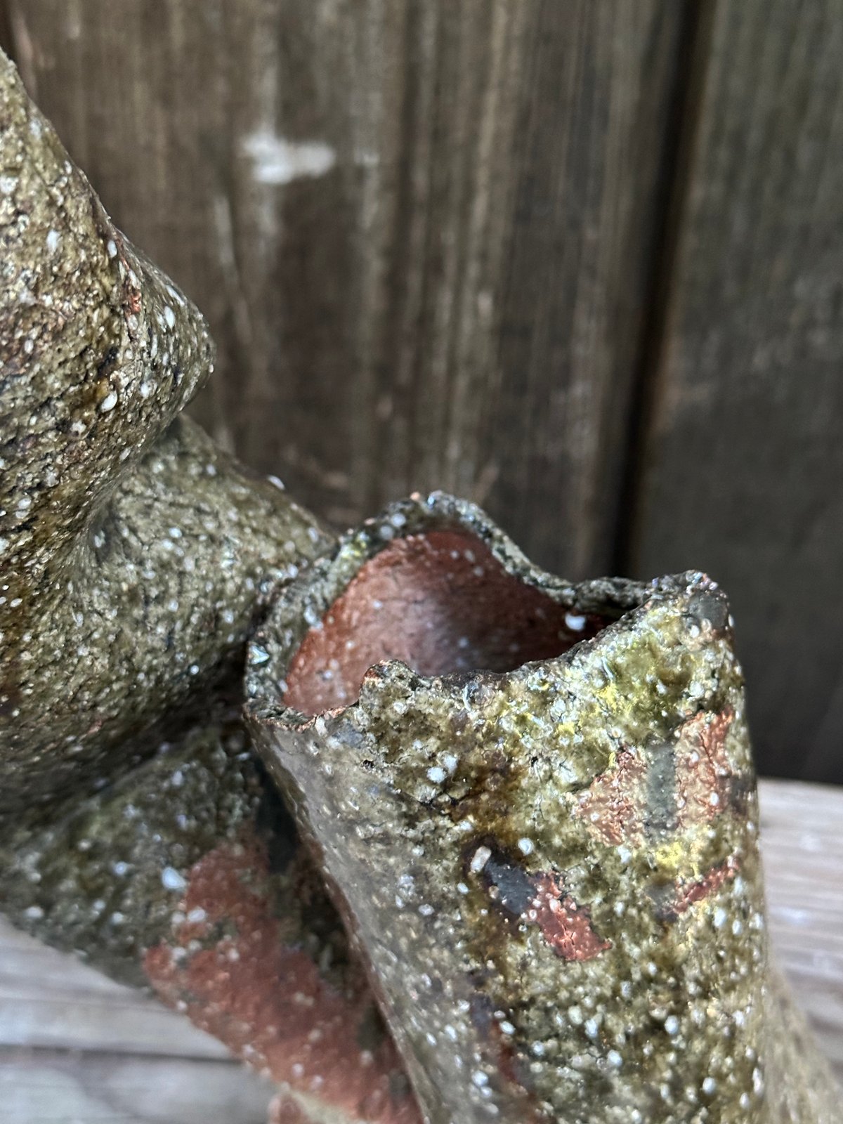 Image of Dutch Bill, 2024