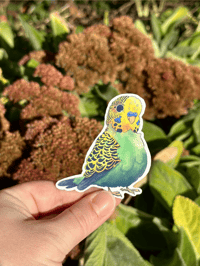 Image 3 of Green Parakeet