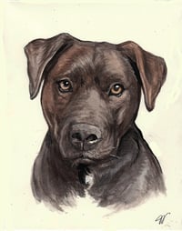 Image 2 of Wildlife & Pet Portrait Commissions