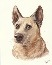 Image 4 of Wildlife & Pet Portrait Commissions