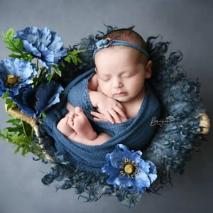 Image of Northern Collection - 2pc felted sets