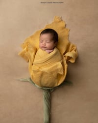 Image 10 of THE MOST POPULAR Merino Silk Felted Layers 