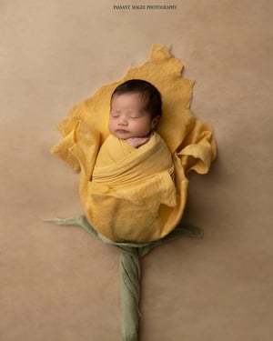 Image of THE MOST POPULAR Merino Silk Felted Layers