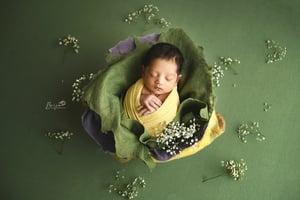 Image of THE MOST POPULAR Merino Silk Felted Layers