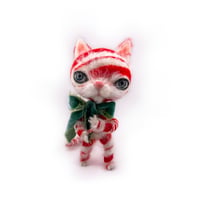 Image 5 of Candy Cat