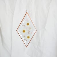 Pressed Flower Suncatcher - Daisy and Queen Anne's Lace