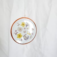 Image 2 of Pressed Flower Suncatcher Viola