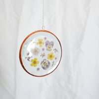 Image 1 of Pressed Flower Suncatcher Viola