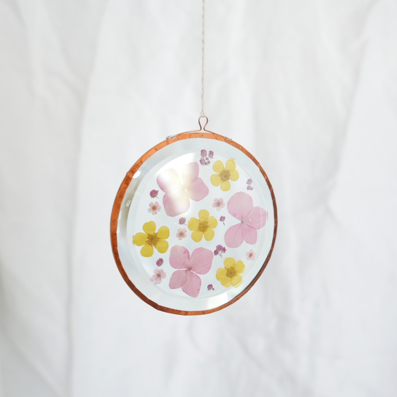 Image of Pressed Flower Suncatcher Hydrangea and Rice Flower