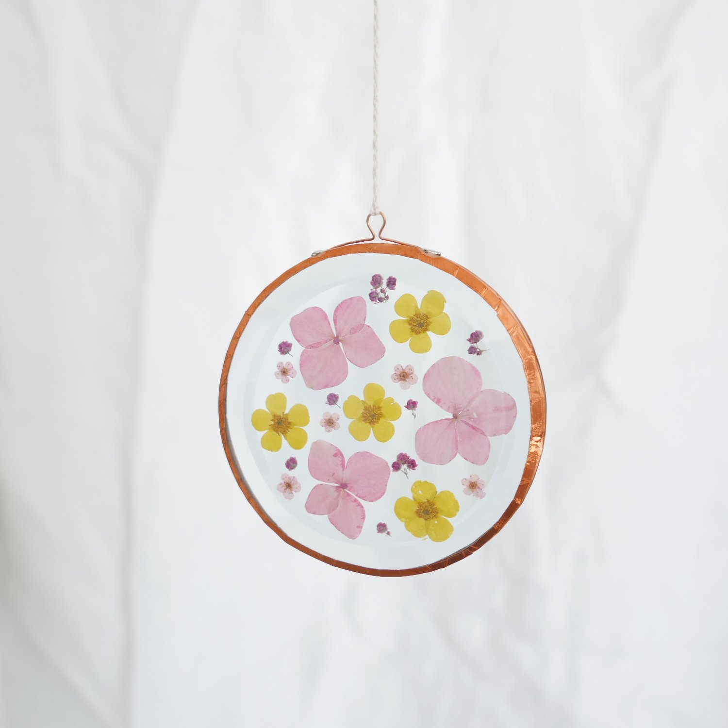 Image of Pressed Flower Suncatcher Hydrangea and Rice Flower