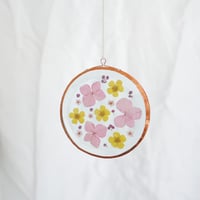 Image 1 of Pressed Flower Suncatcher Hydrangea and Rice Flower