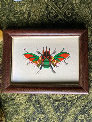 Pinned Beetle 