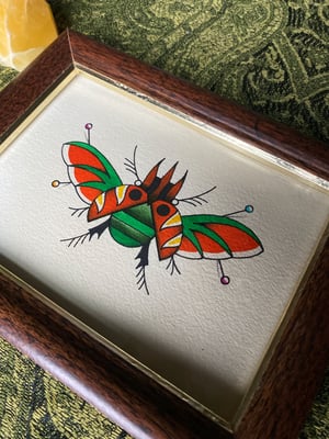 Pinned Beetle 