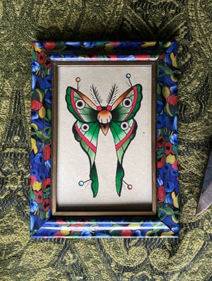 Pinned Luna Moth