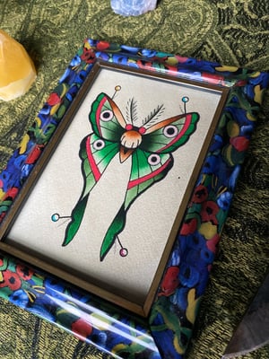 Pinned Luna Moth