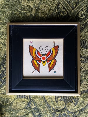 Pinned Royal Butterfly