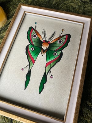 Pinned Luna Moth Butterfly