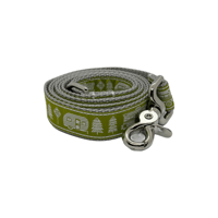 Open Road Green Dog Leash