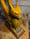 Image of Gryphon