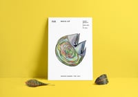 Open System - A3 poster