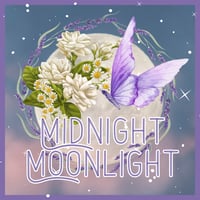 Image 1 of Midnight Moonlight Perfume