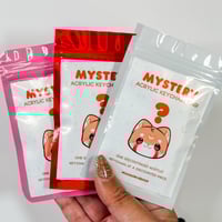 Image 4 of Mystery Acrylic Keychain Bag