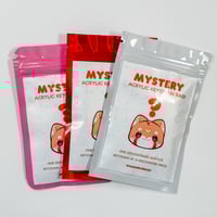 Image 3 of Mystery Acrylic Keychain Bag