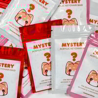 Image 1 of Mystery Acrylic Keychain Bag