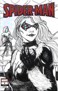 Black Cat on Spider-man Blank cover