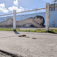 Image 3 of Miami Girl