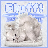 Image 1 of FLUFF!