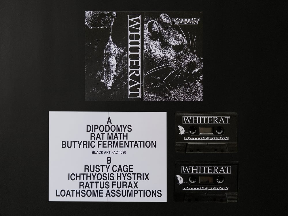 Whiterat – Rattus Furax CS