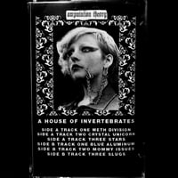 Amputation Theory “A House of Invertebrates” Cassette