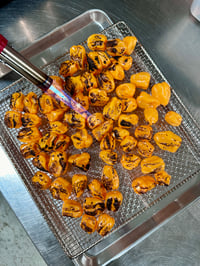 Image 2 of Single Roasted Habanero