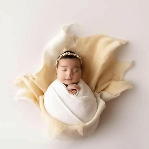 Image of Shop the Look:  Soft Cream and Ivory Tones Merino Silk Felted Layers (reg $98)