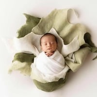 Image 1 of Shop the Look: Natural Green Tones Merino Silk Felted Layers – , set of 3 (reg $147)