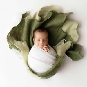 Image of Shop the Look: Natural Green Tones Merino Silk Felted Layers – , set of 3 (reg $147)