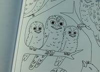 Image 5 of Creature Comforts Colouring Book – Down Under