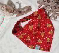 Image 4 of rudolph feliz navidad set