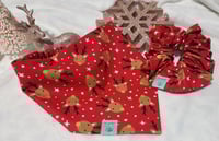 Image 2 of rudolph feliz navidad set