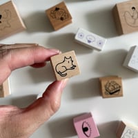 Image 1 of mini cat