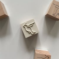 Image 3 of dove