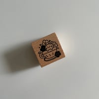 Image 2 of teacup cat