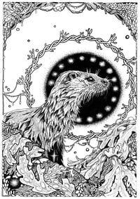 Image 1 of Otter- Madra Uisce