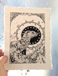 Image 2 of Otter- Madra Uisce